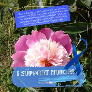 Meet your Posher, Joanne